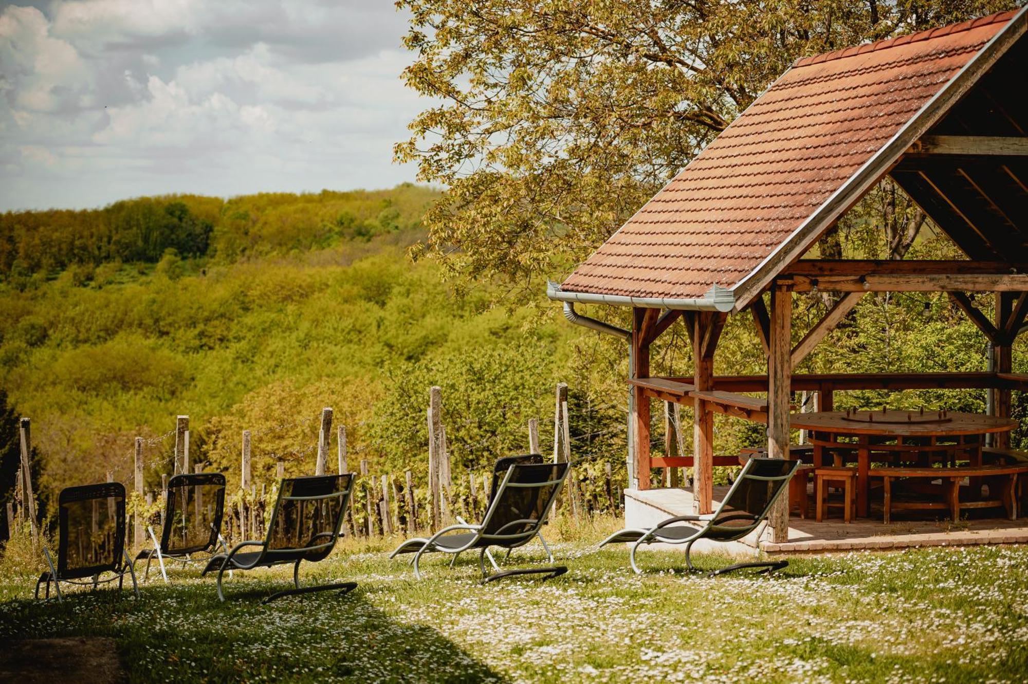 Foerhenc Wine House & Guesthouses I-Ii-Iii Nagykanizsa Luaran gambar
